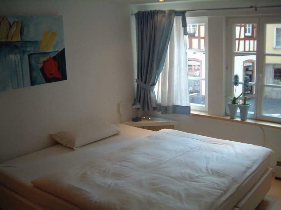 Appartement Kirschgarten Mainz Kültér fotó